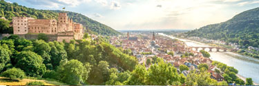 Enchanting Rhine